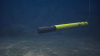 angler_1b