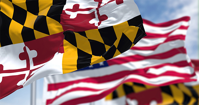 Maryland Flag